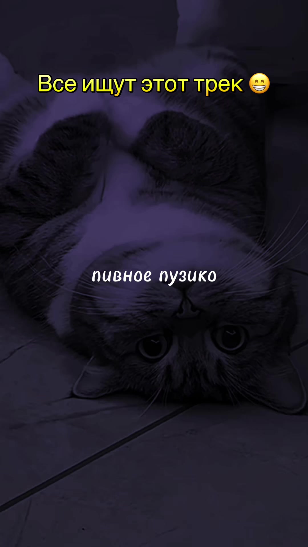 @МУЗ✯ОN