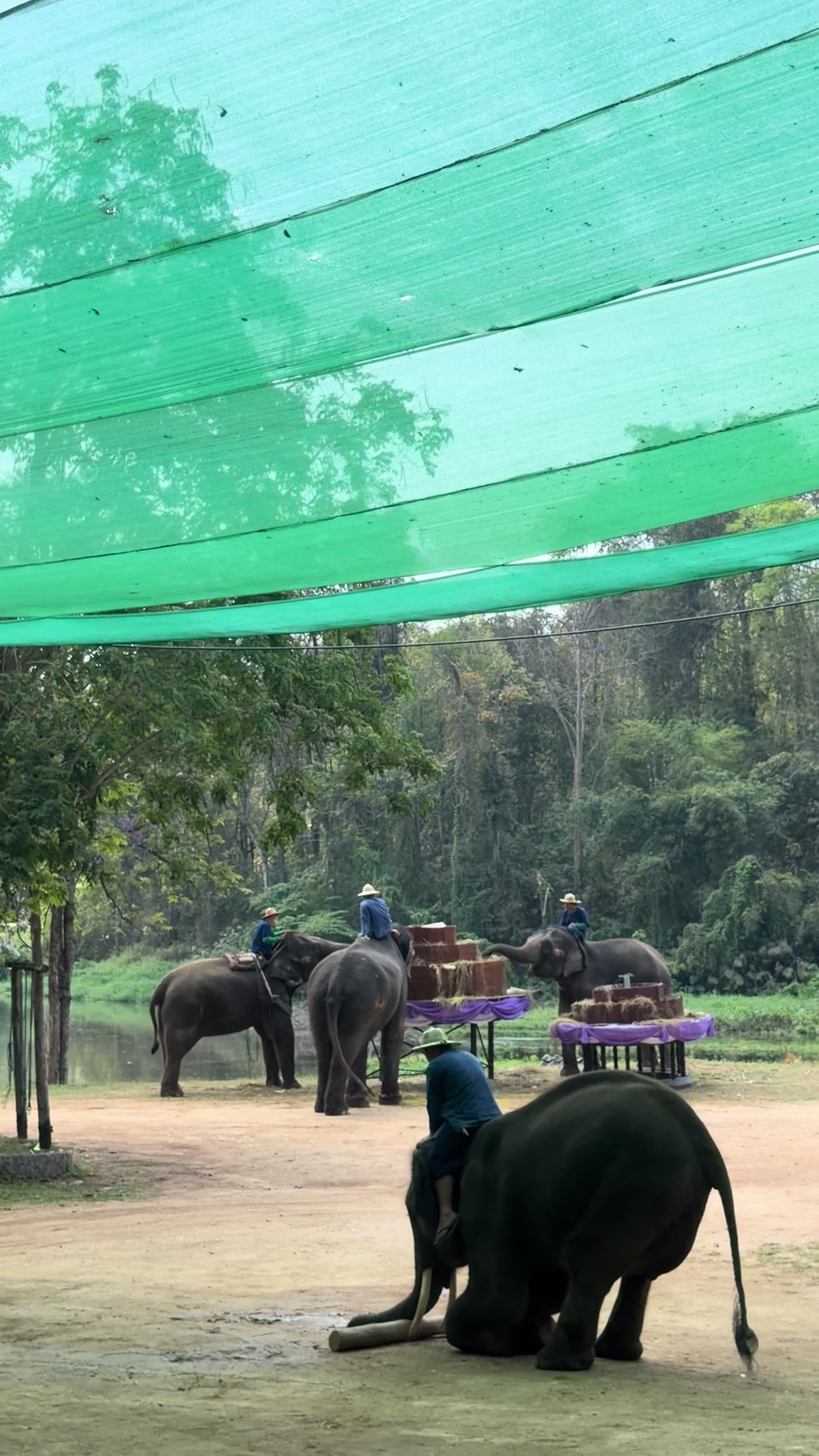 @Qvy Boonchanawiwat