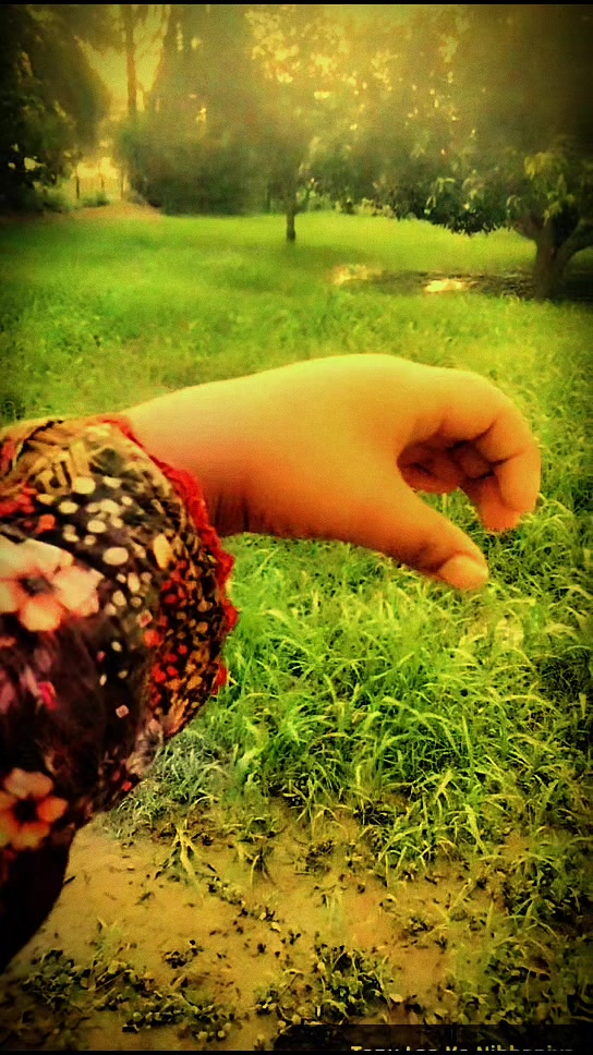 @Zameer Blouch