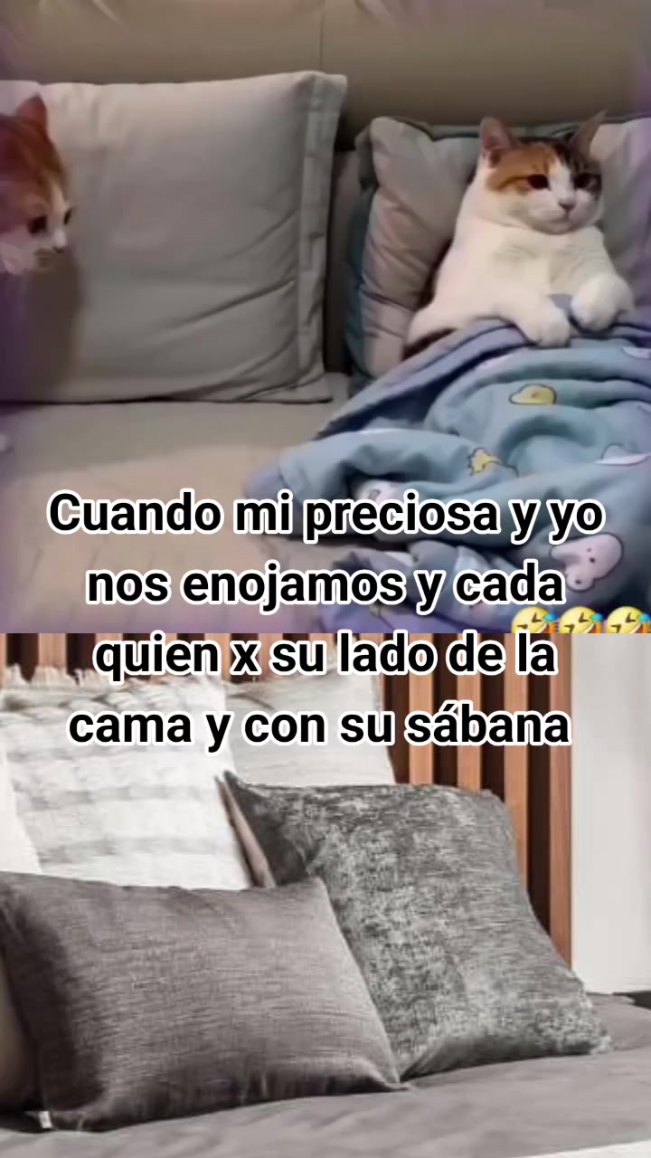 @emy