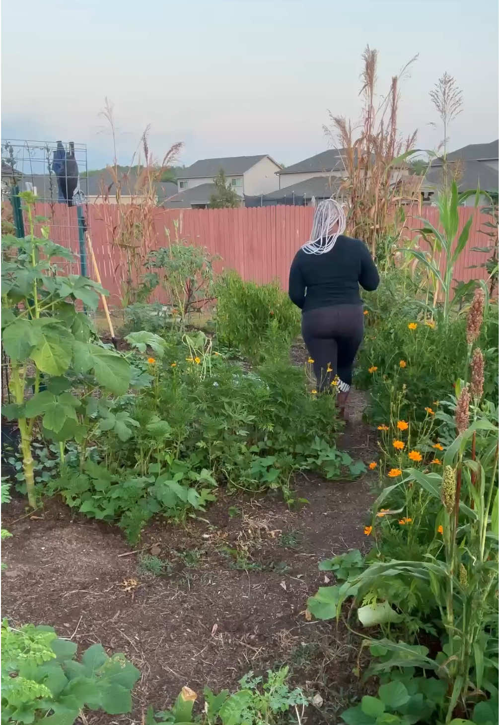 @The Okra Lady LLC