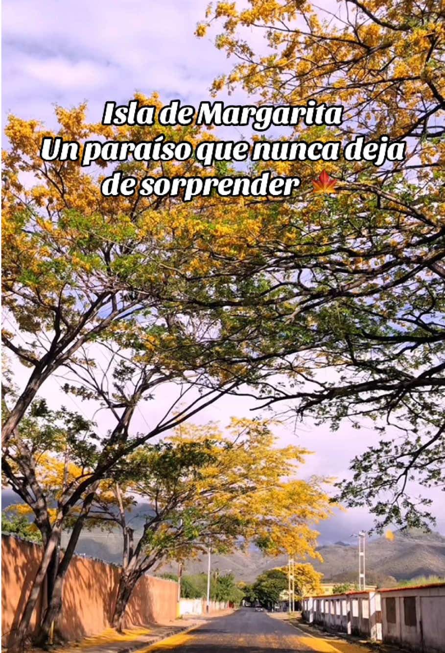 @Xavier Dellan