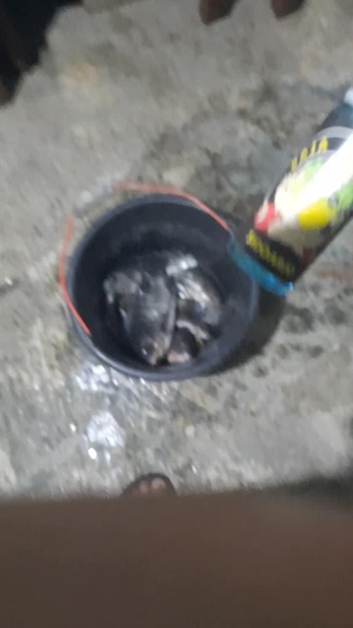 @Stm