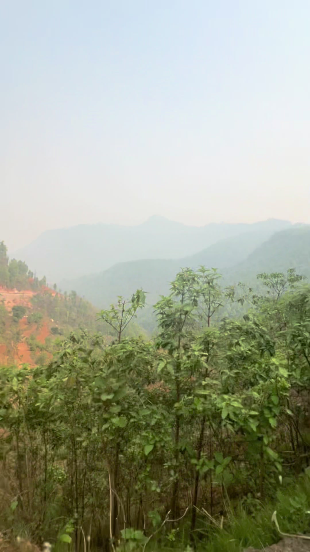 @Shiva Karki