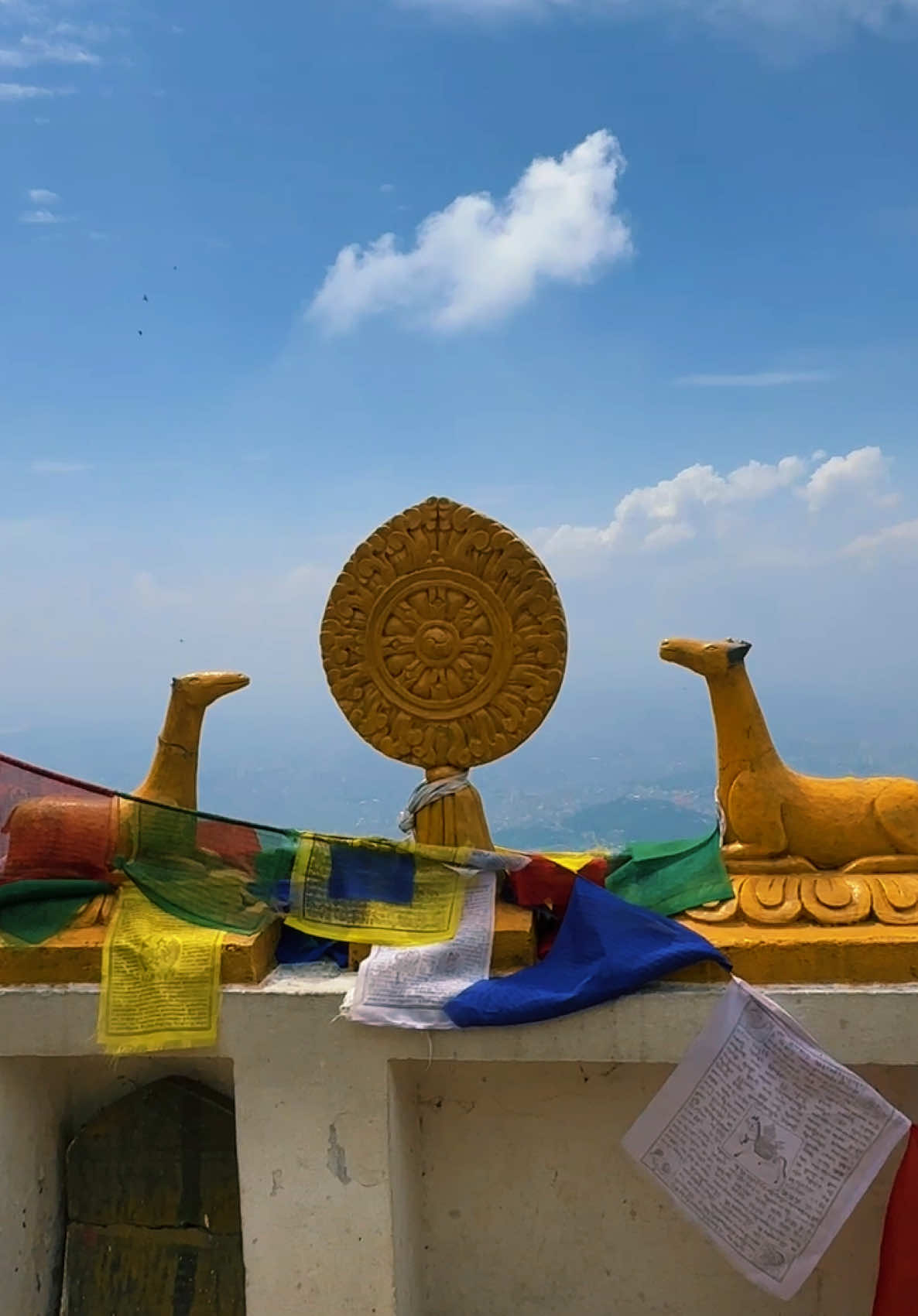 @Kumar Neupane