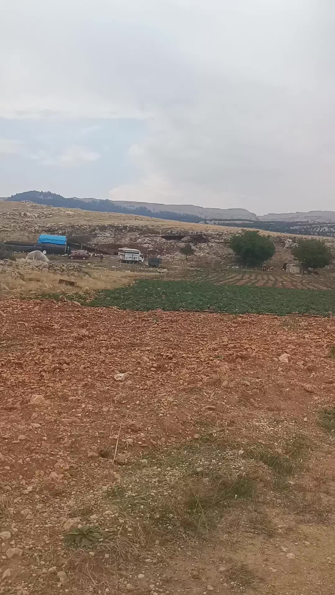 @Recep Ballı