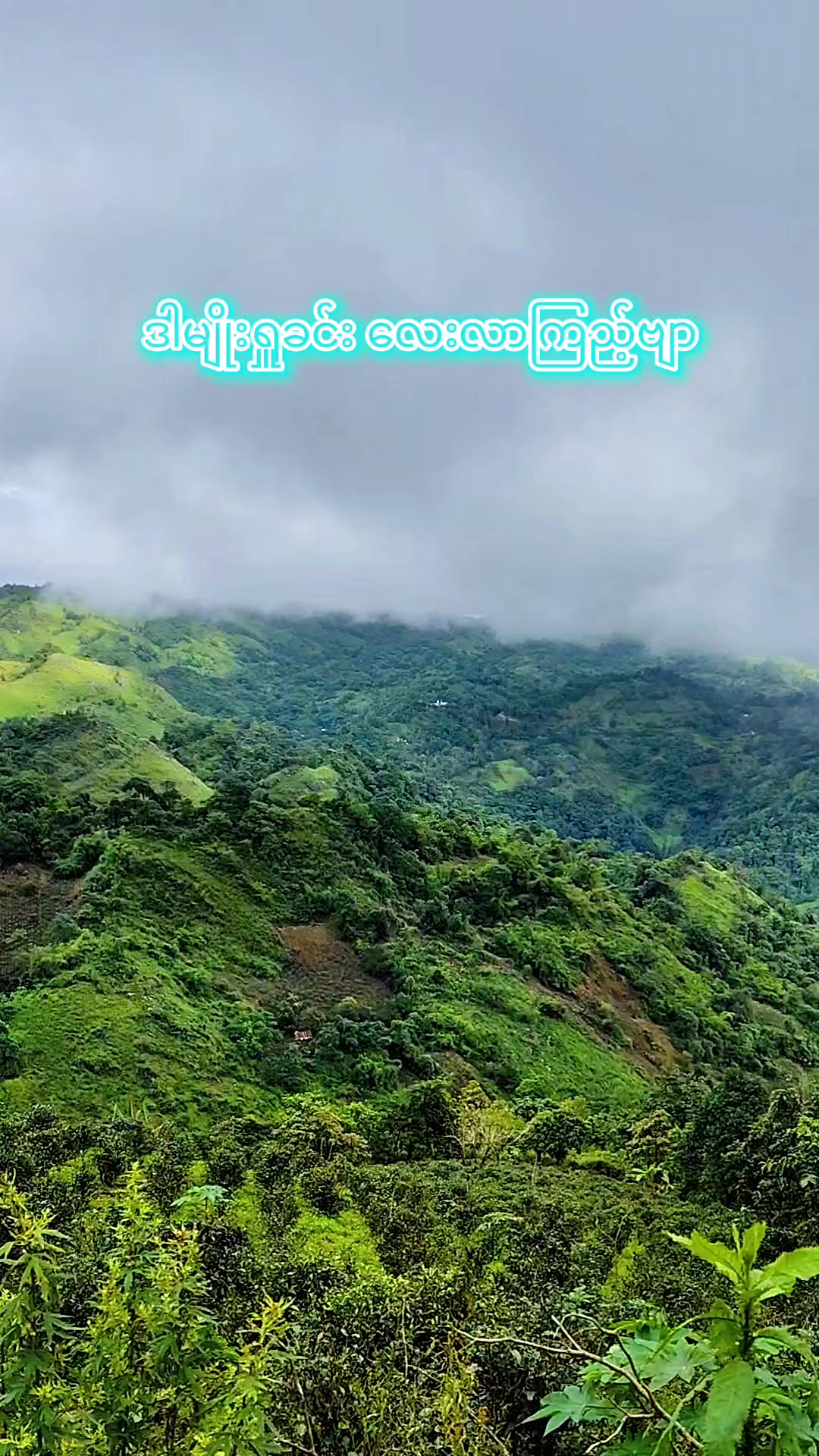 @Cholaykit