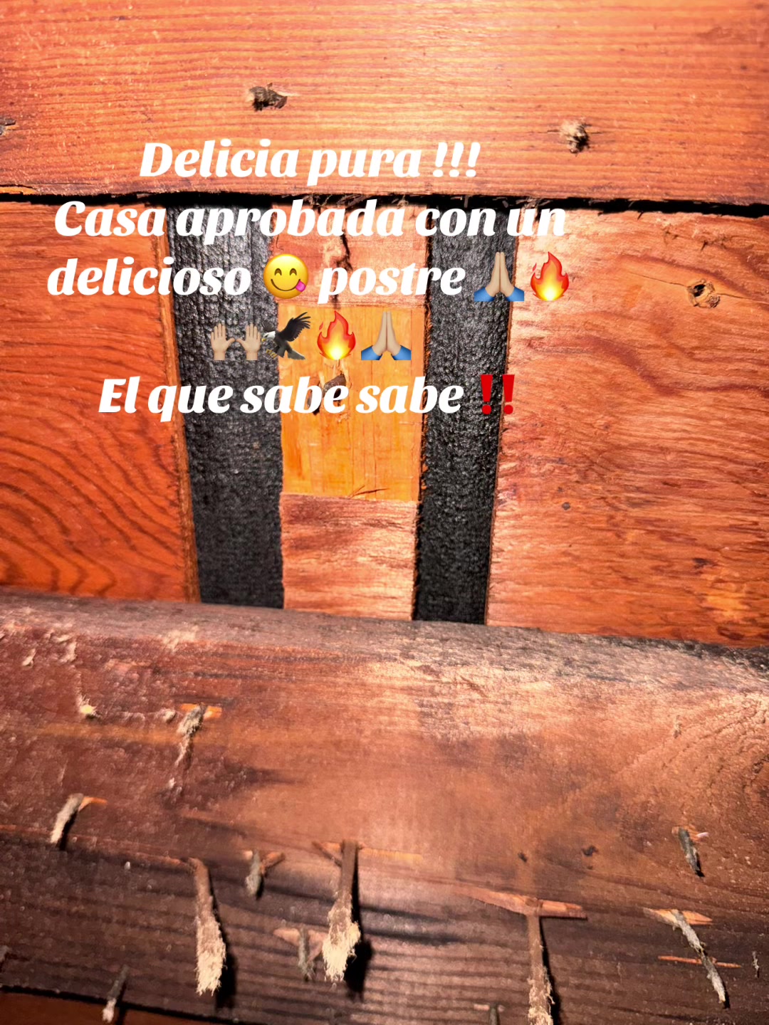 @16genesis9🍓