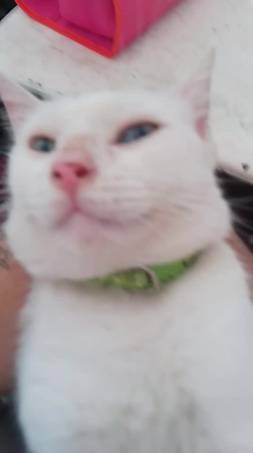 @eve