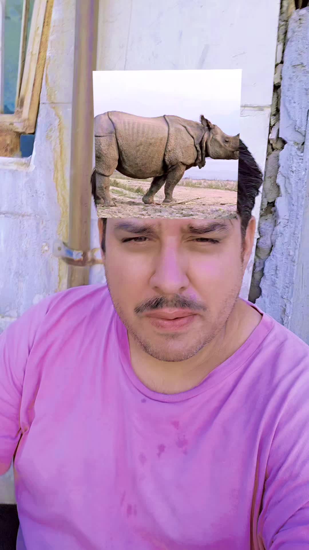 @🅻🅴🅾🦁🅺🅸🅽🅶🤴