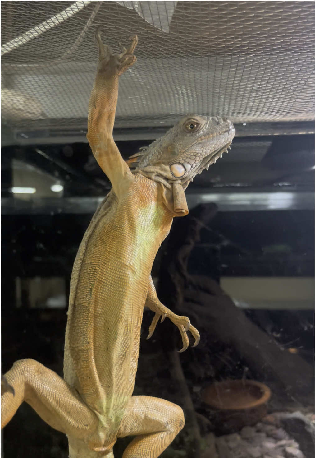 @KANMAZ PETSHOP