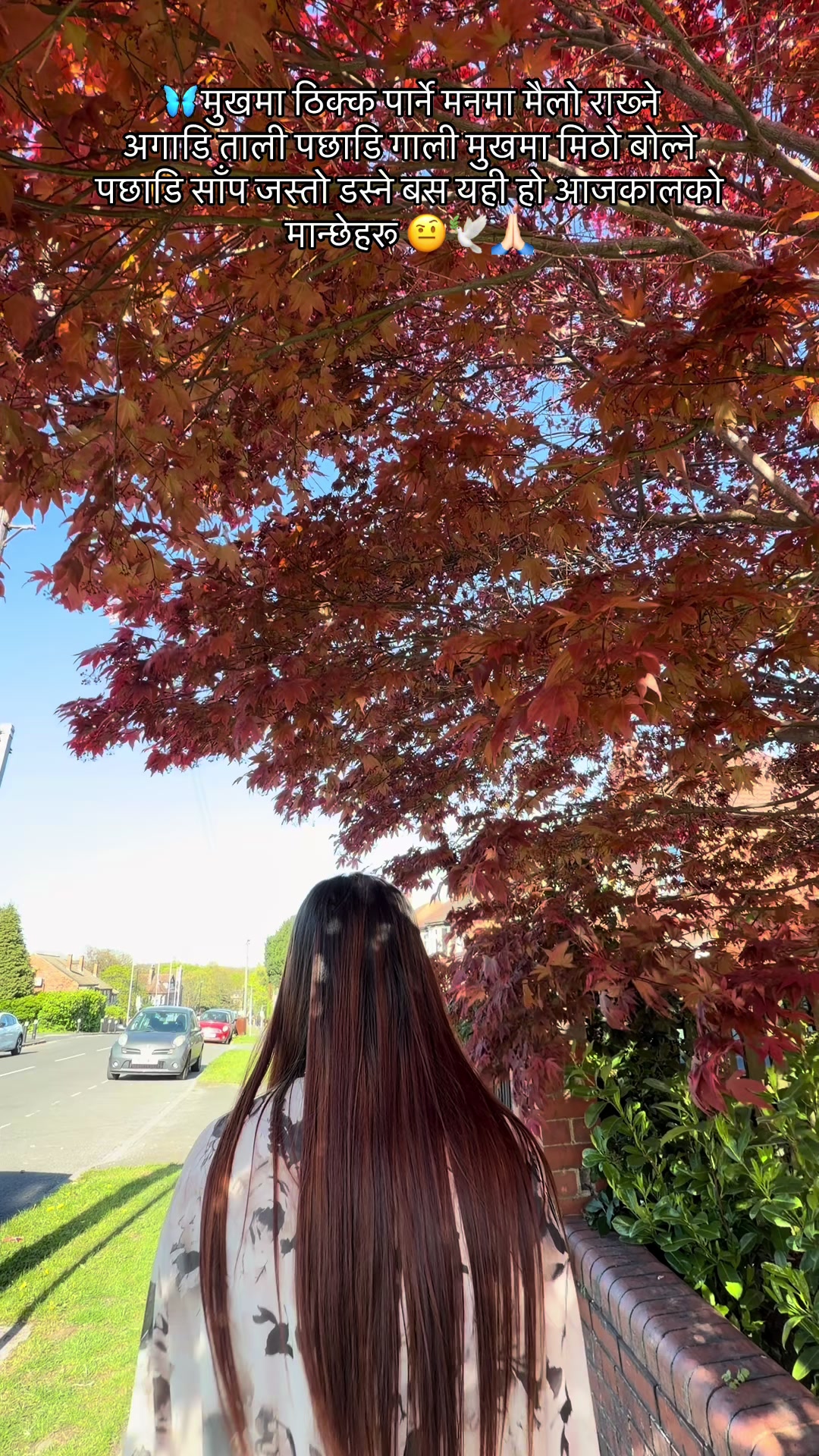 @Aayushma 🦋