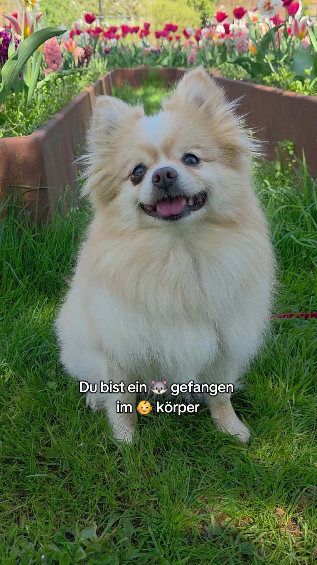 @Mias Spitze Welt 🫶