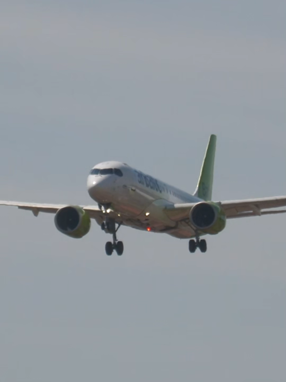 @Lisbon Spotting