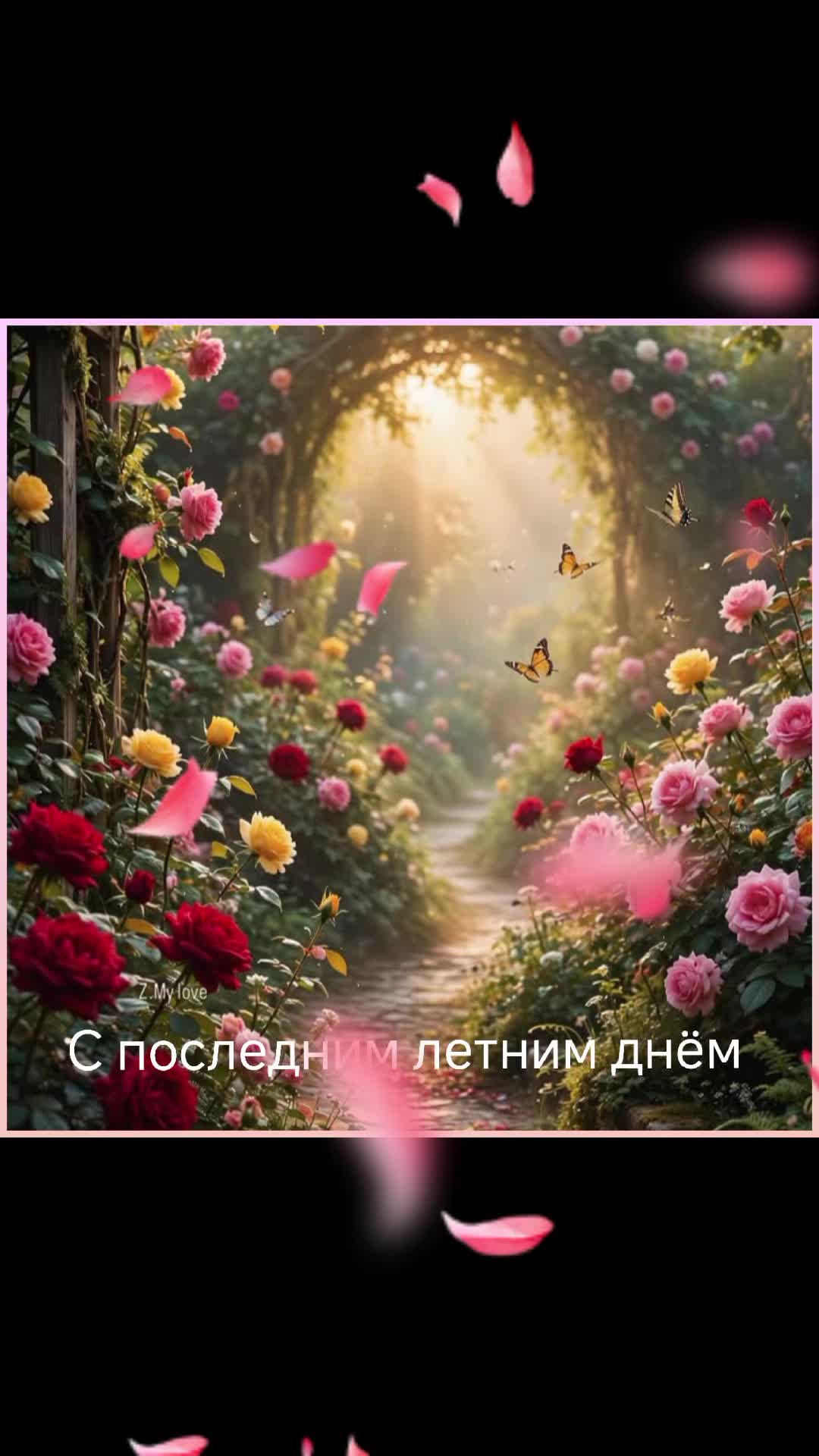 @Elena L885