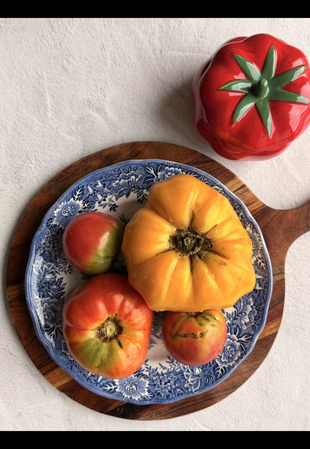 @Devanshi ๐ vegetarian recipes