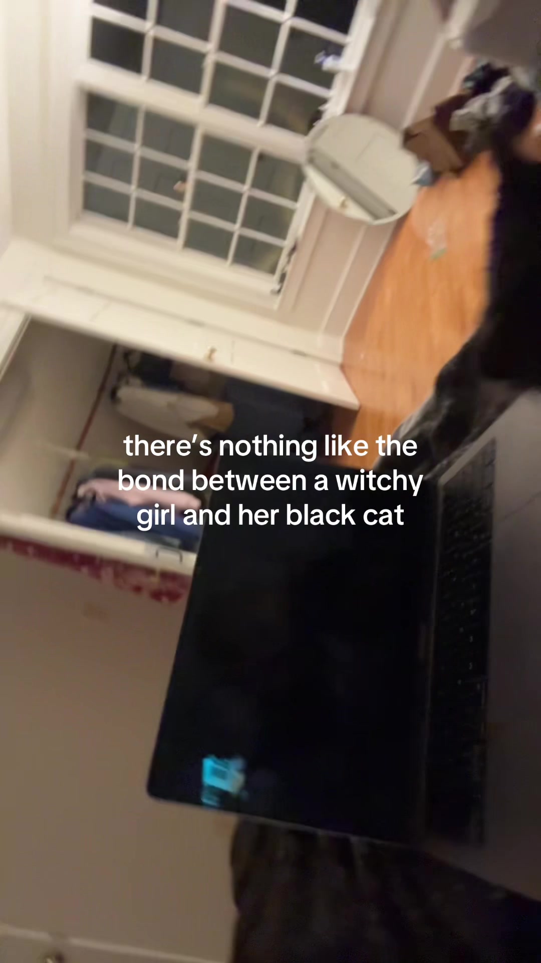 @whipplequincy