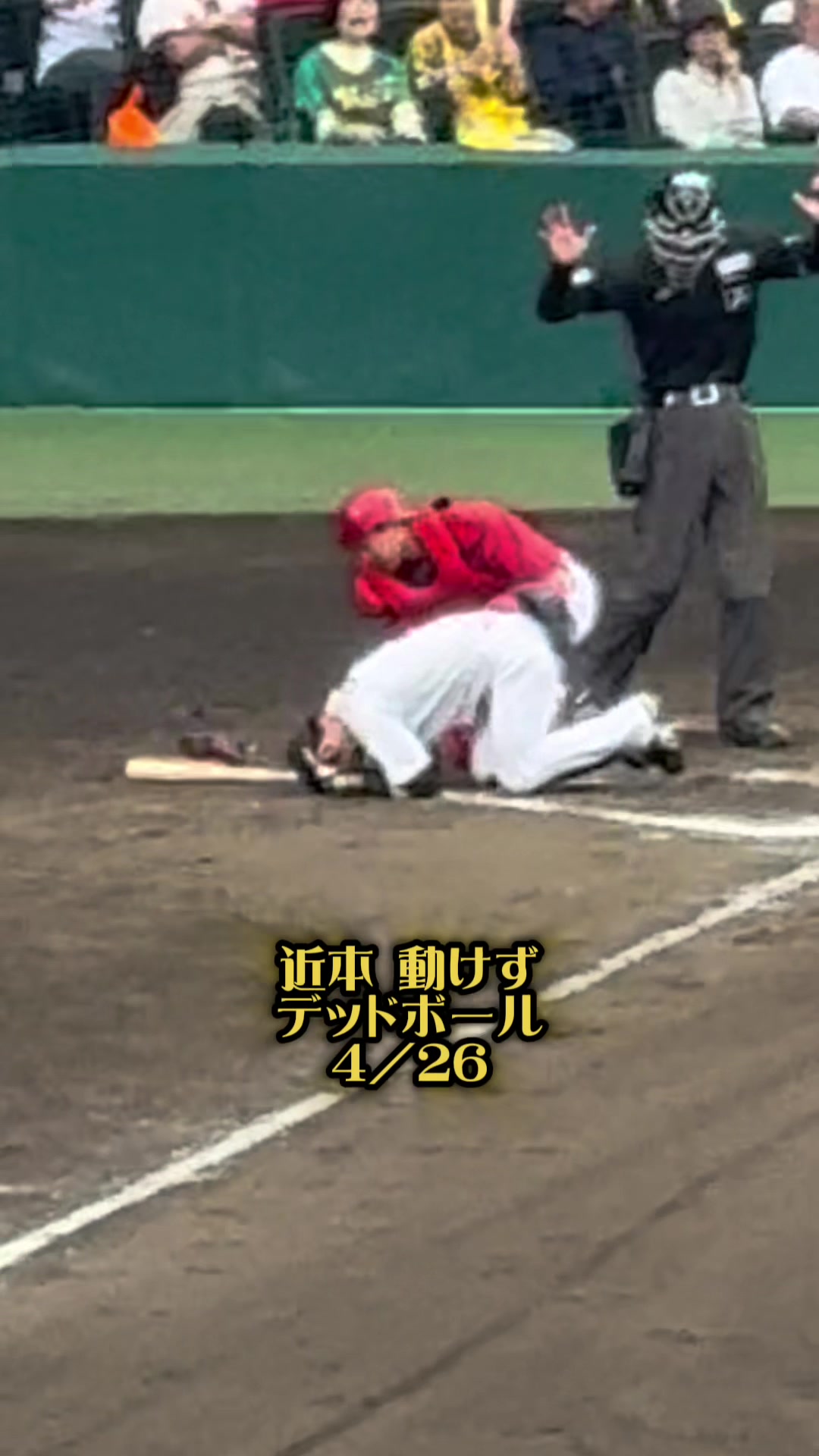 @Osaka Reels