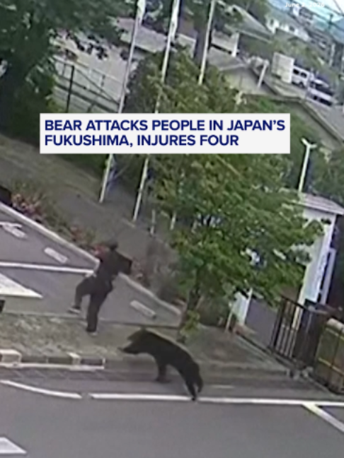@ABC News