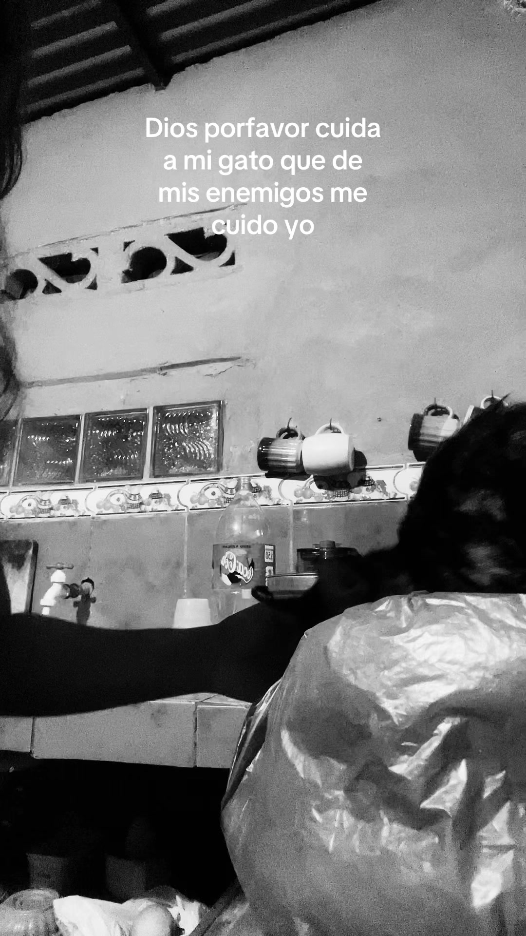 @E D V B