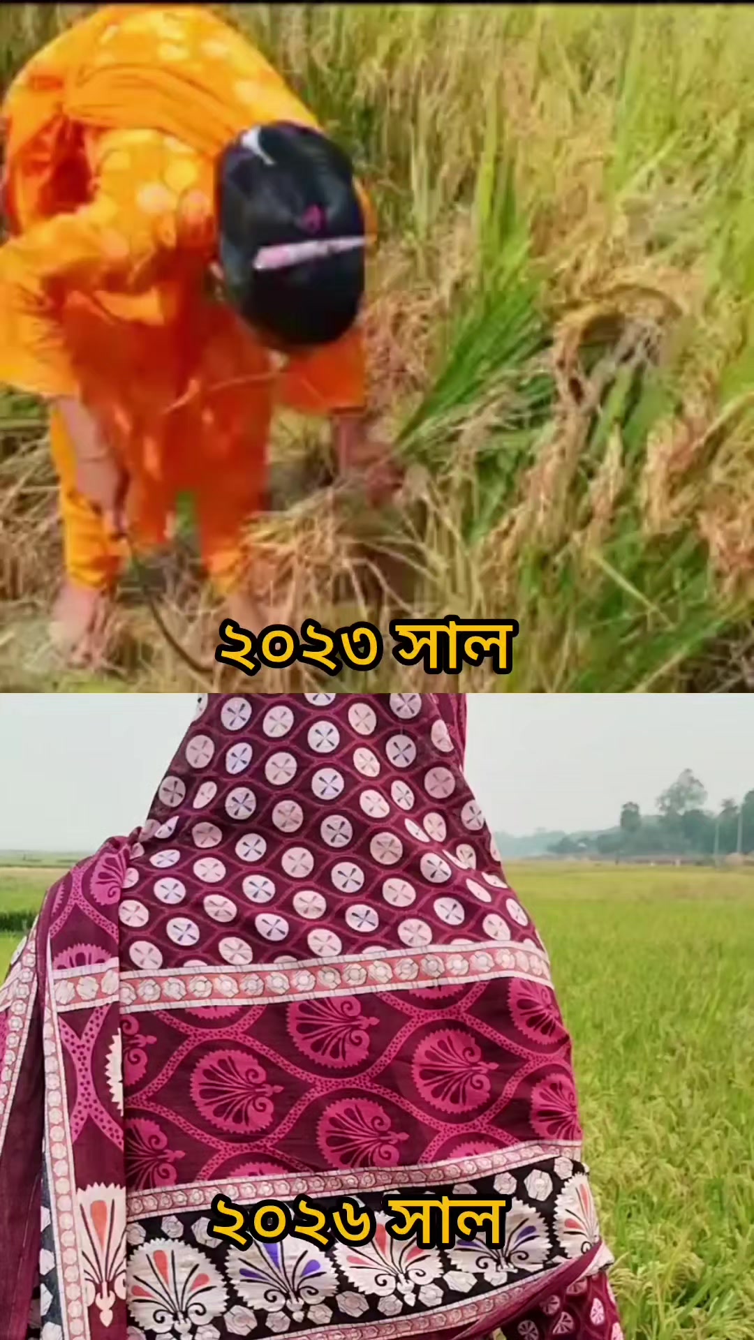 @Runa Laila
