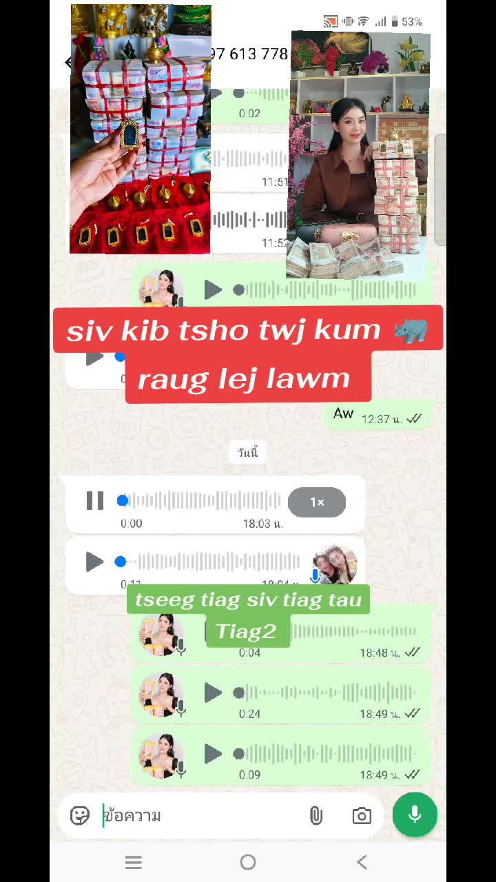 @nkauj see xyooj