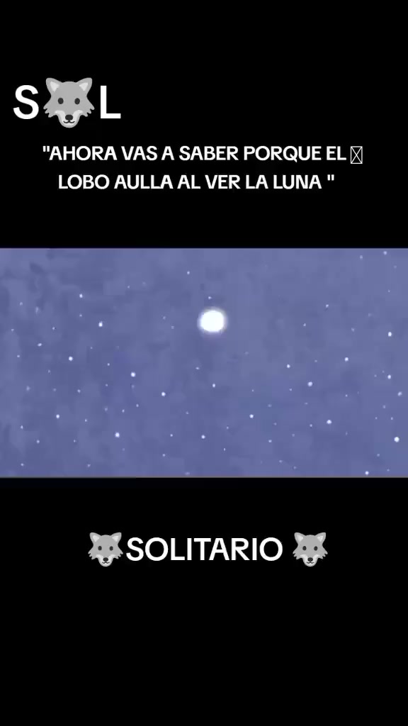 @WOLF-CIANA