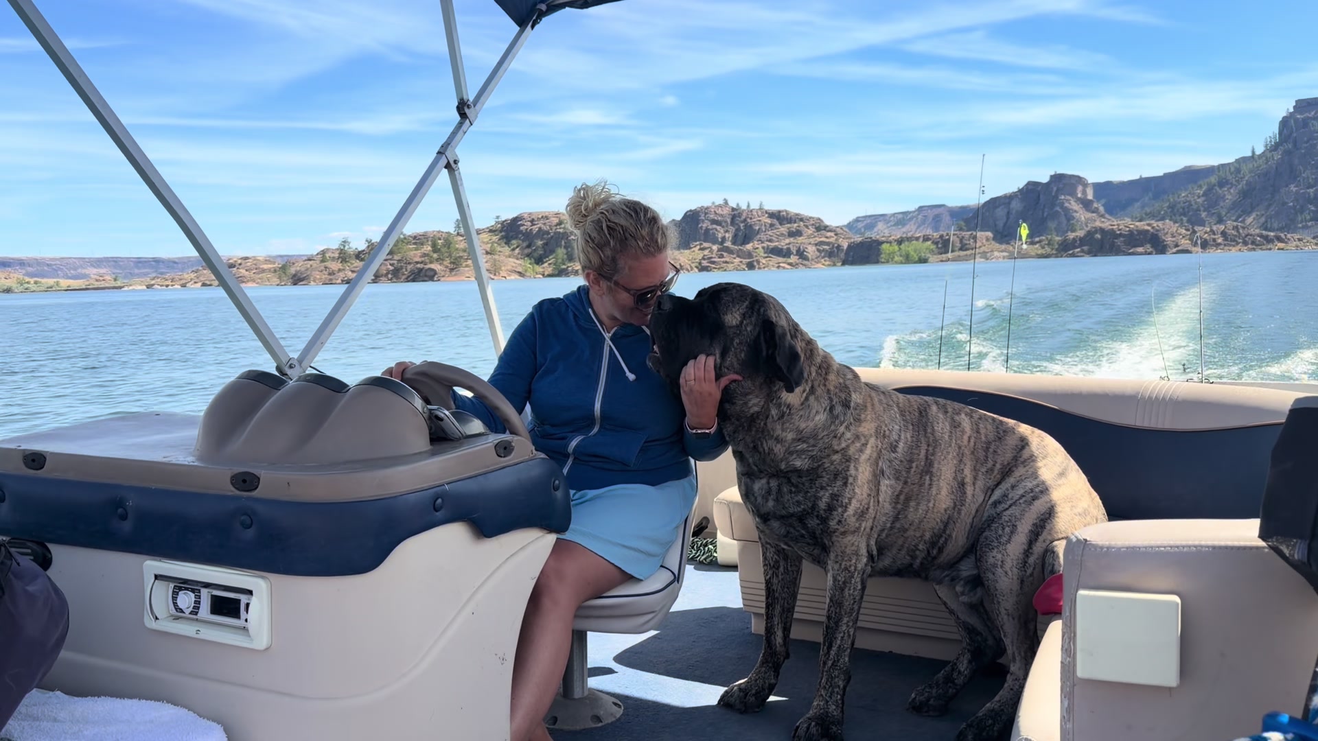 @BrindleBearTheMastiff