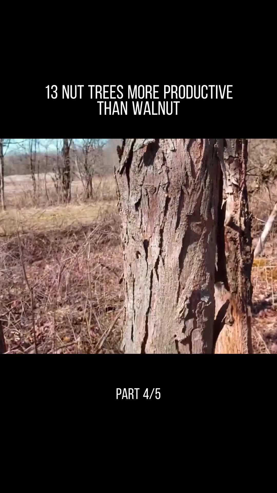 @user32331650853717
