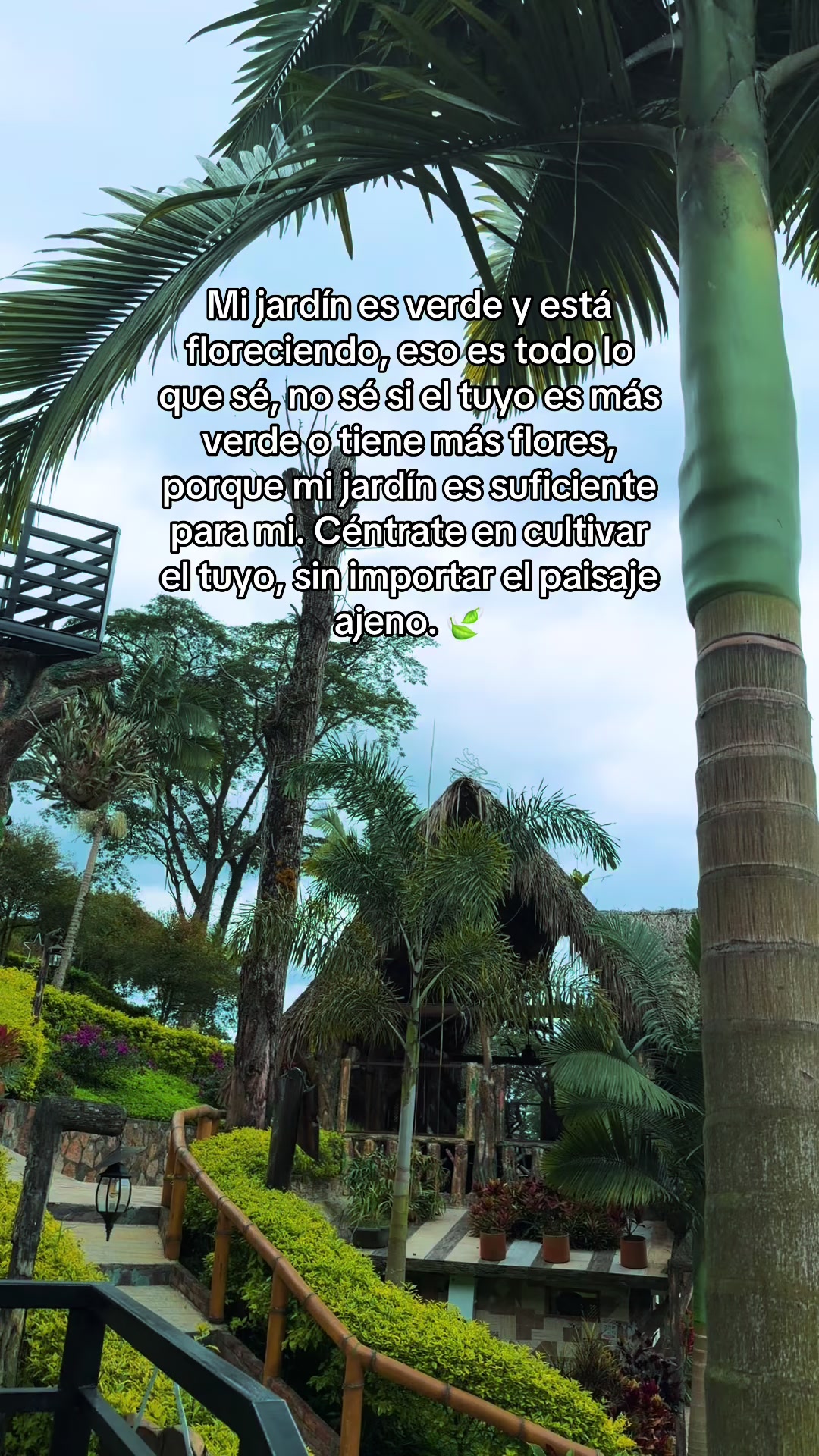 @Brenda García