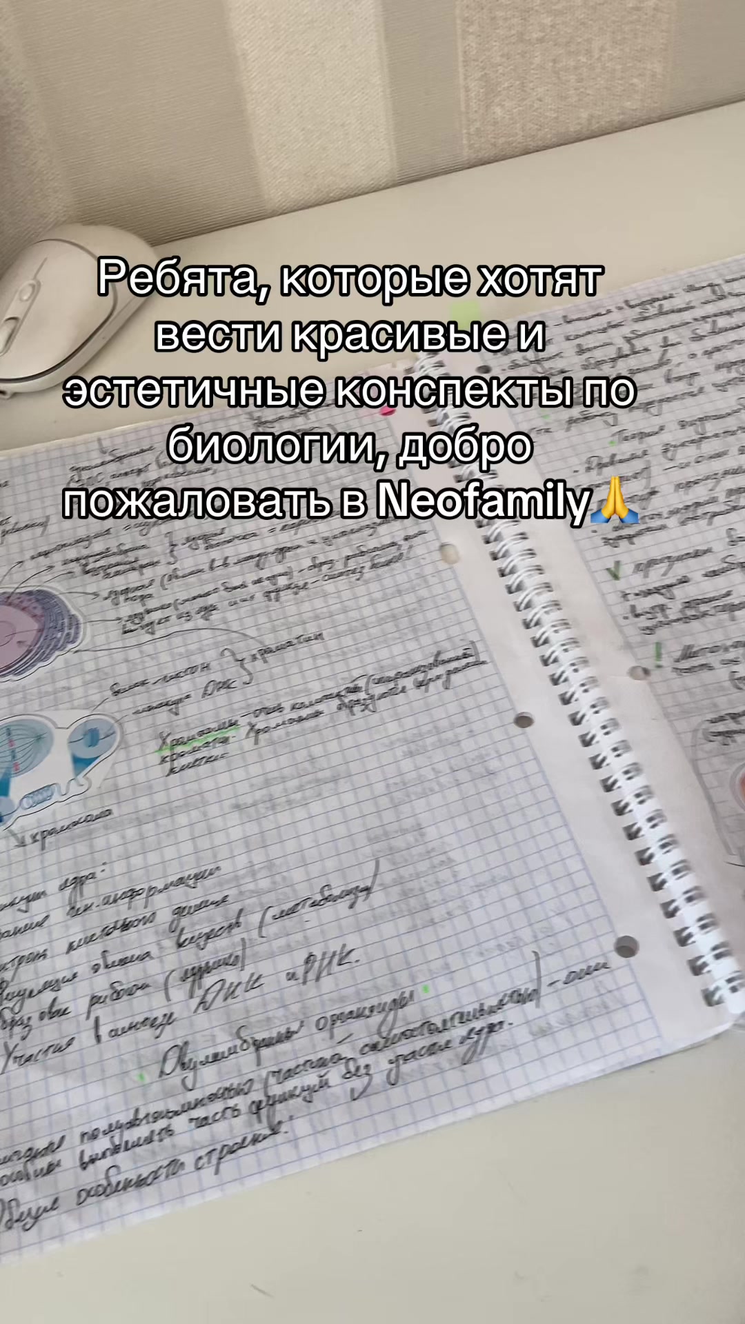 @rovamik
