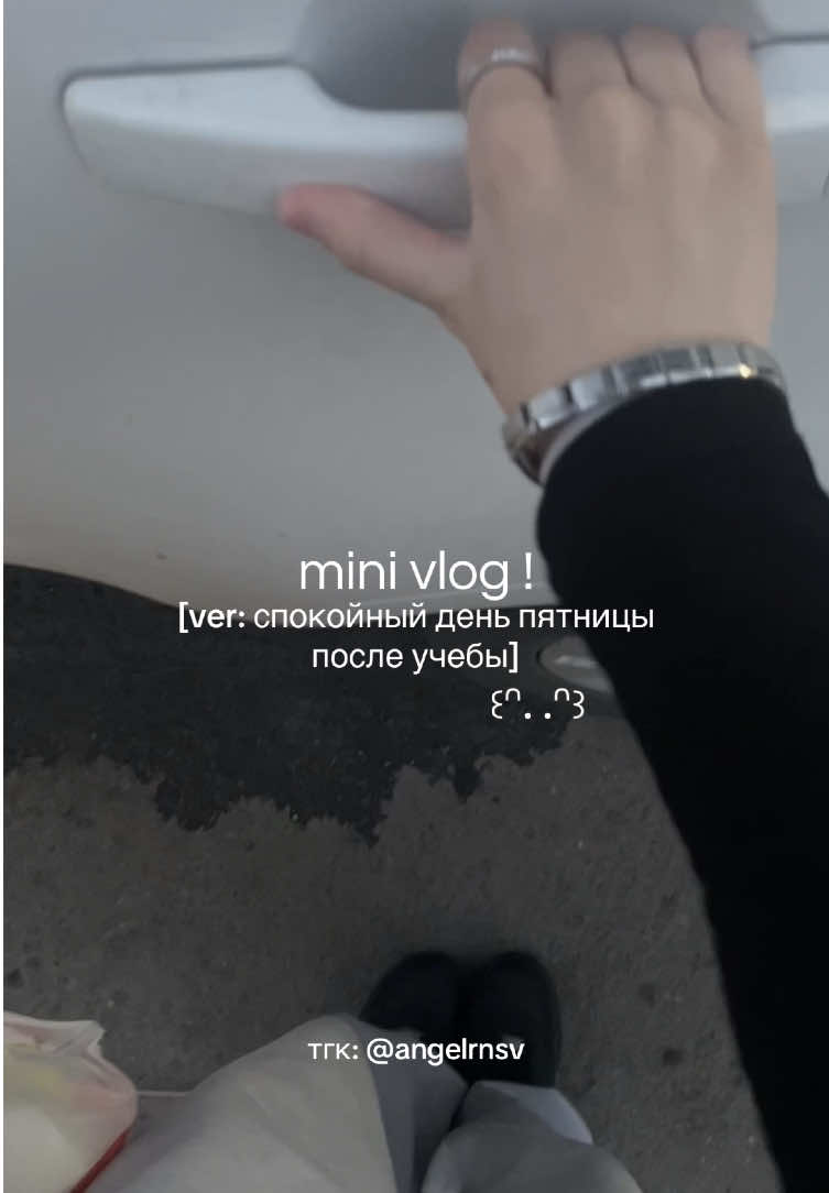 @luvRina’s 花 ⟡ ݁₊