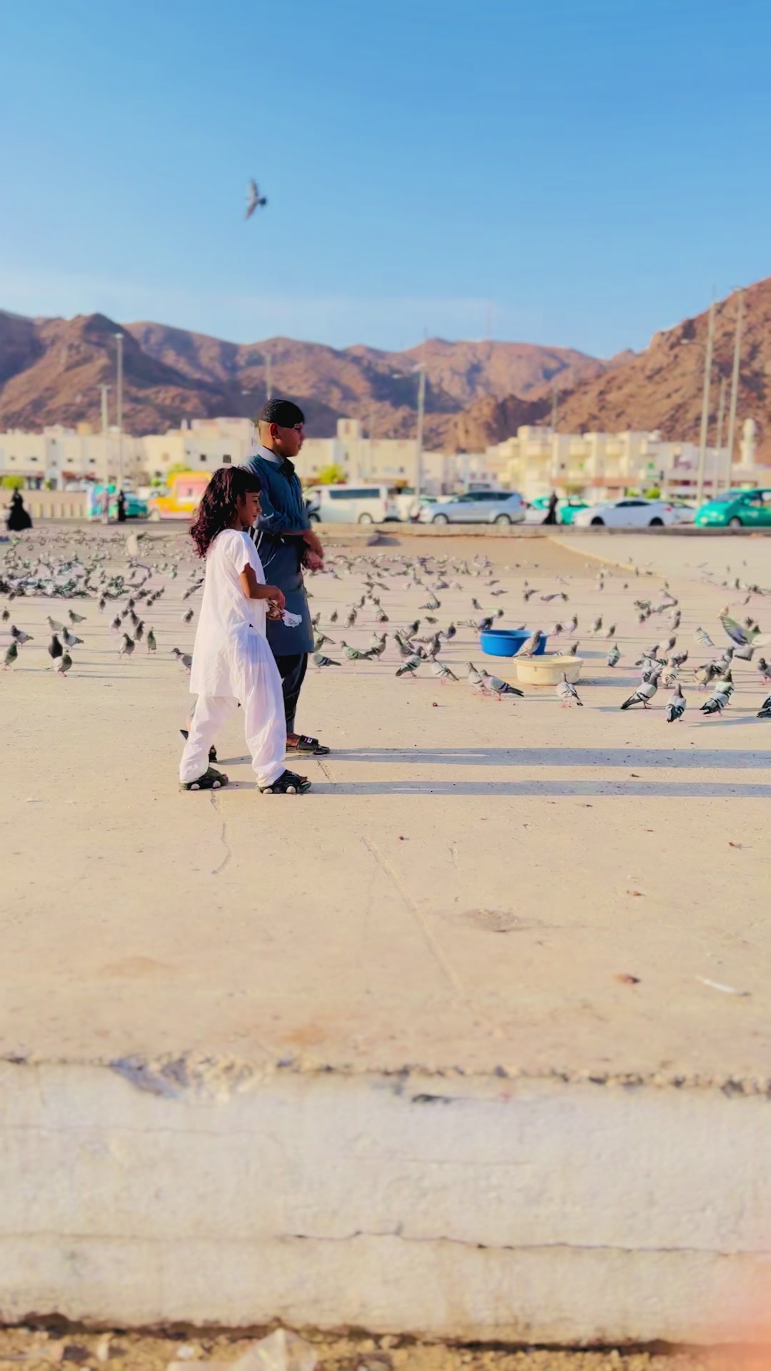 @Sajjad khosa