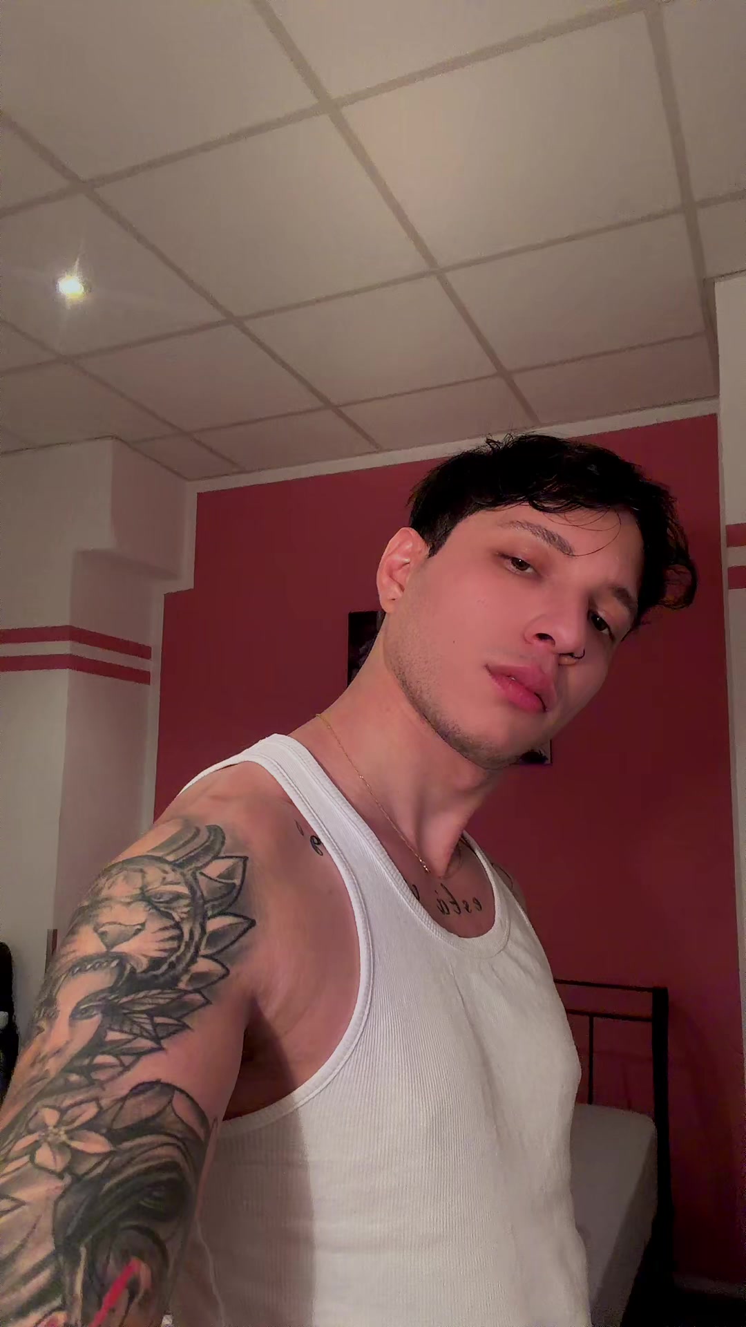 @El.alectoso