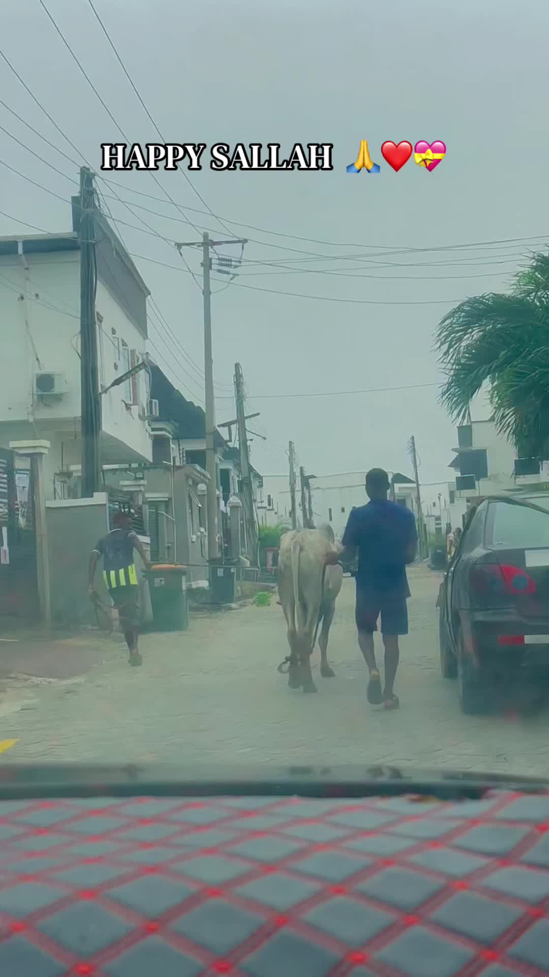 @LEKKI BILLIONAIRE 001🇺🇸🇳🇬