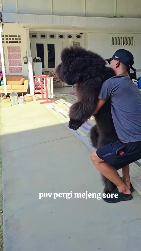 @MontyBardoKairosKingKaneBJ