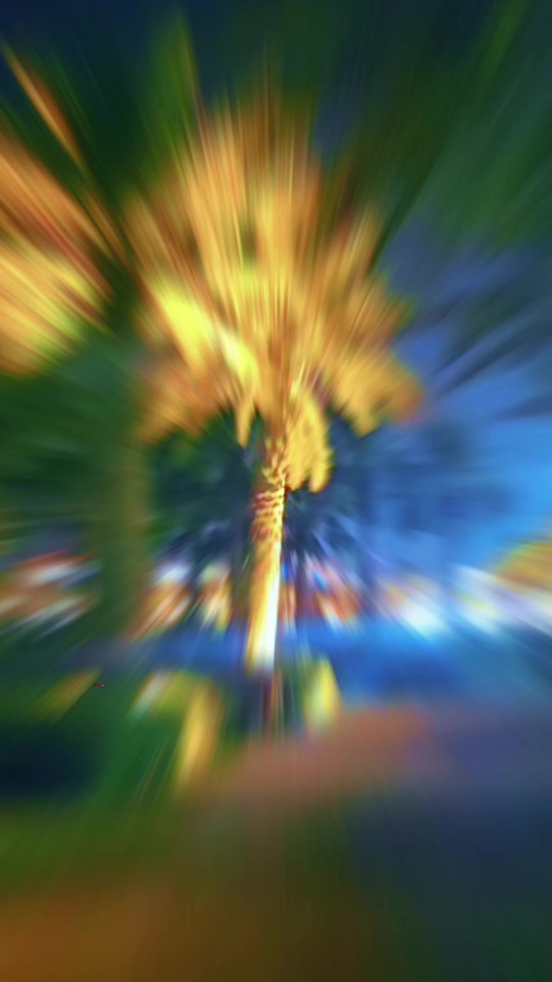 @𒈞꧂ 𝓢𝓪𝓷𝓪 𝓕𝓪𝓽𝓱𝓲𒈞꧂