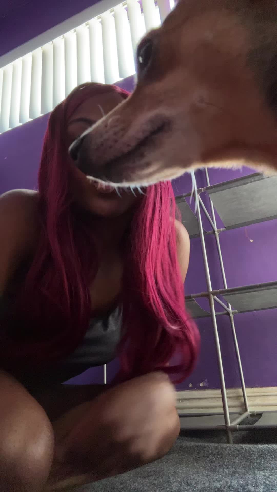 @🐈⬛