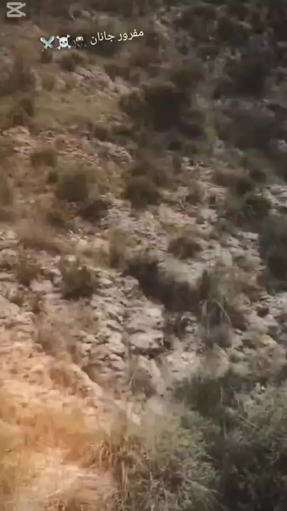 @🏴🔥 بدری ۳۱۳ 🔥🏴