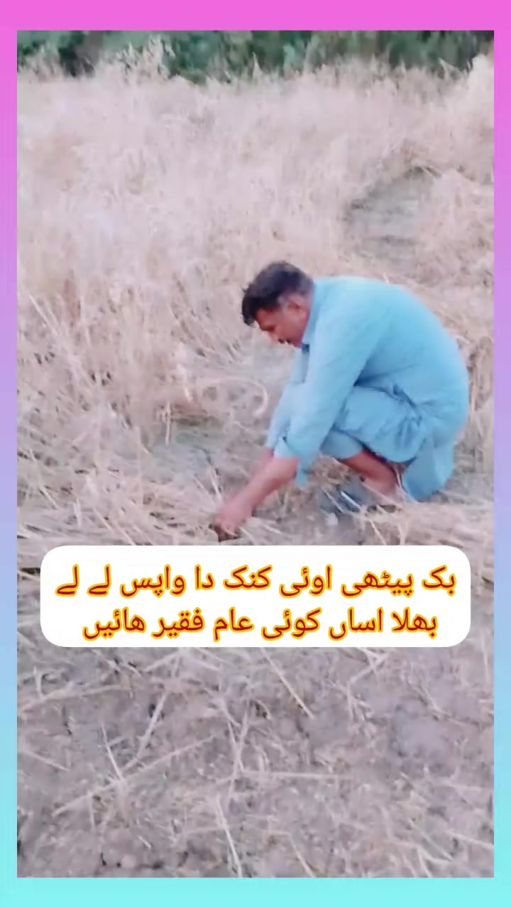 @Mazhar Nimana512