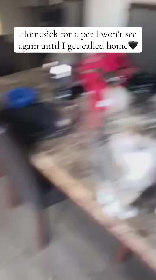 @ChaosAndCatnip