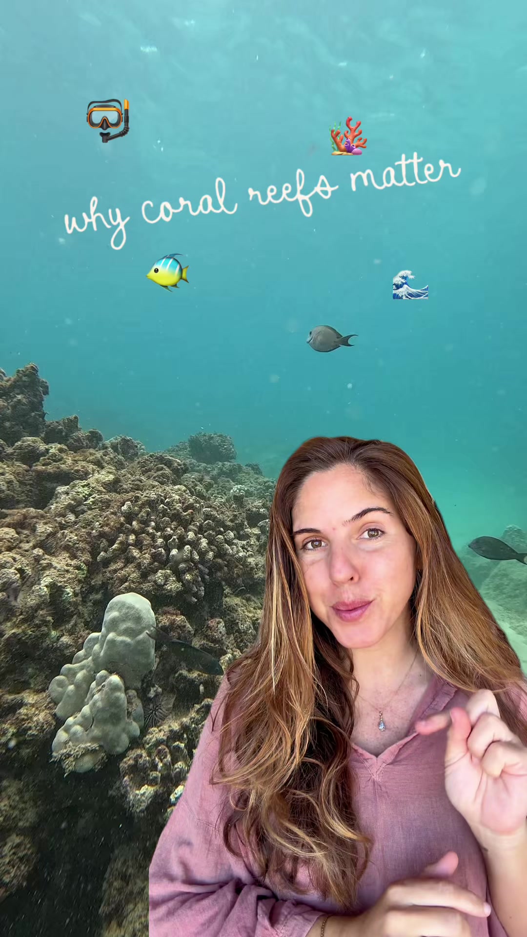 @Carissa 🐋🩵🌊