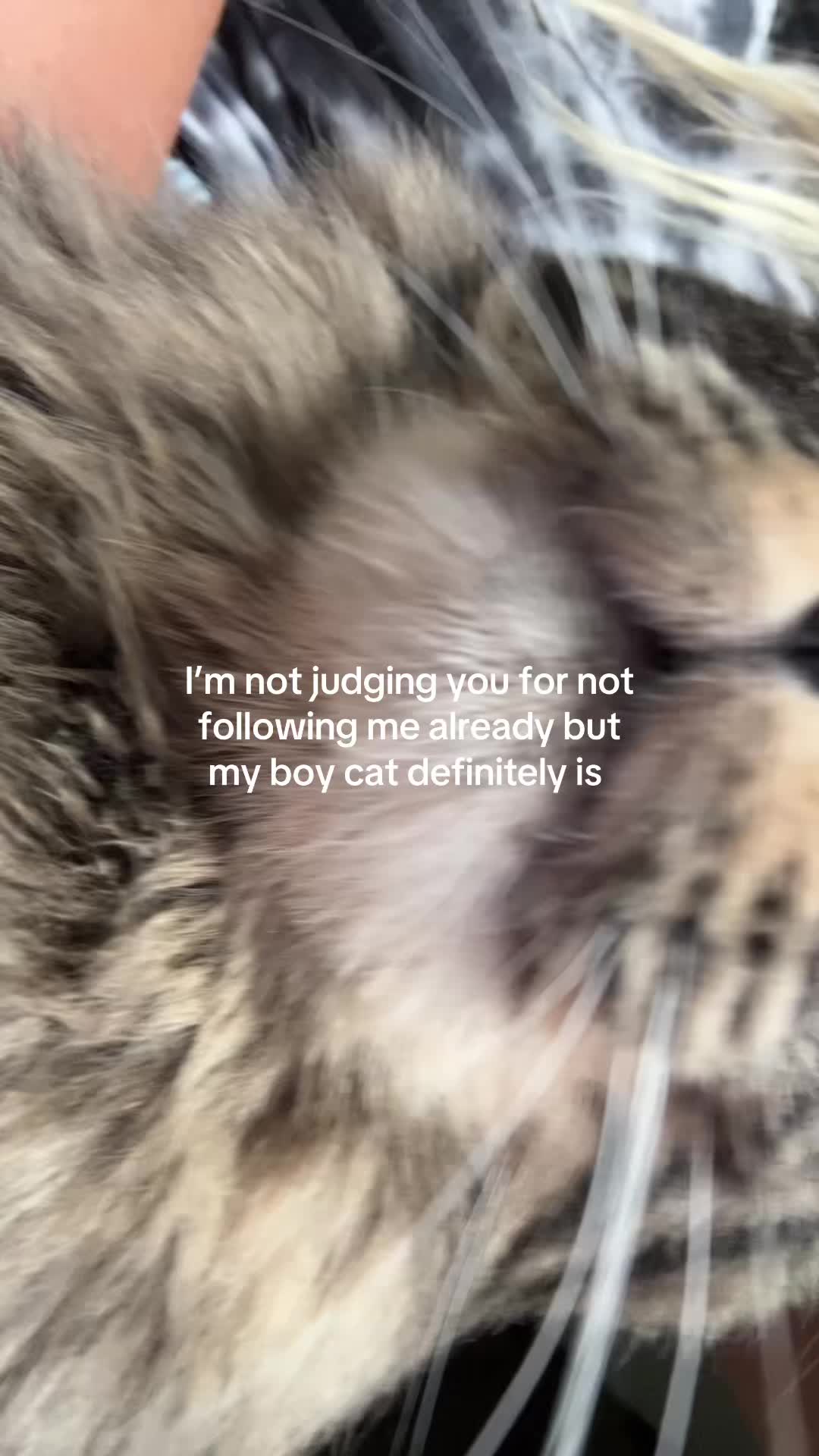 @tcnoodlesoup