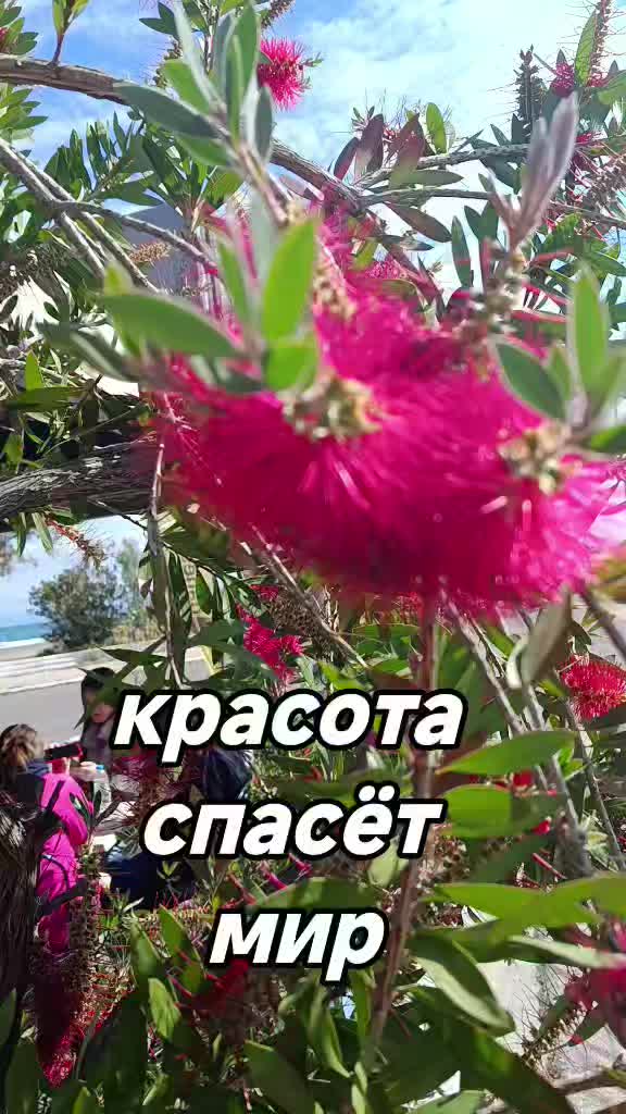 @Muza