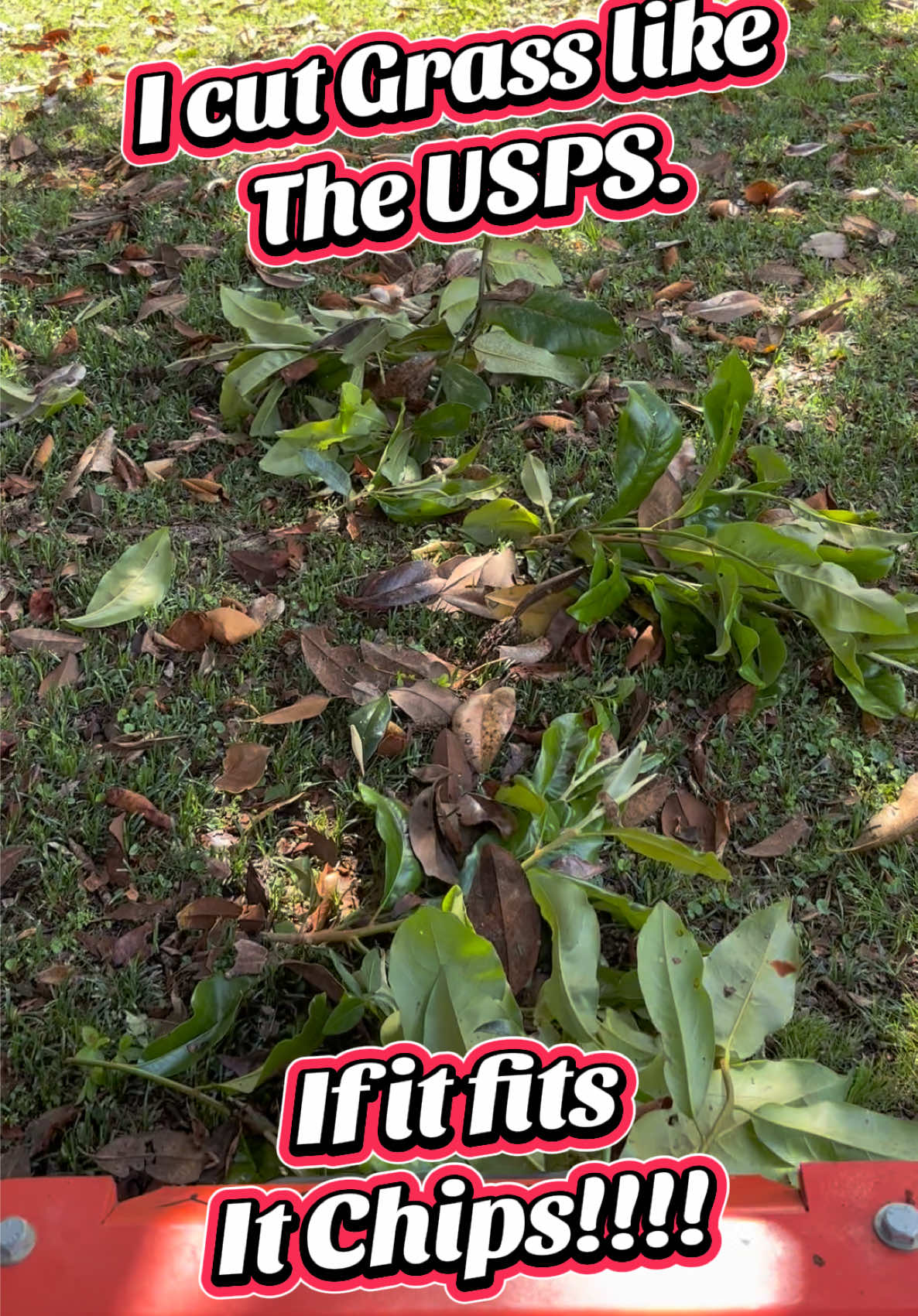 @MrLawnGuy