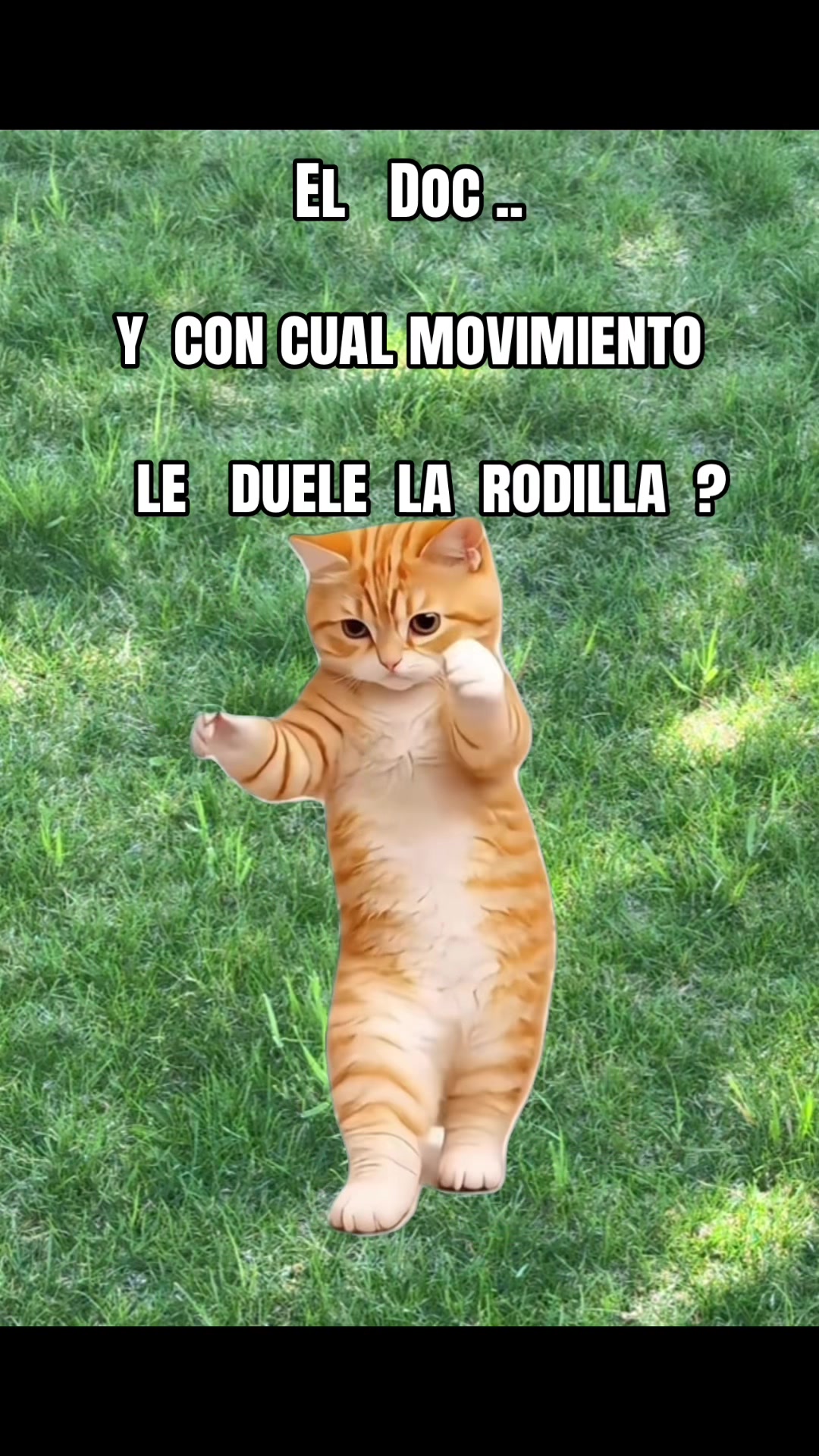 @Yatziri Ramirez