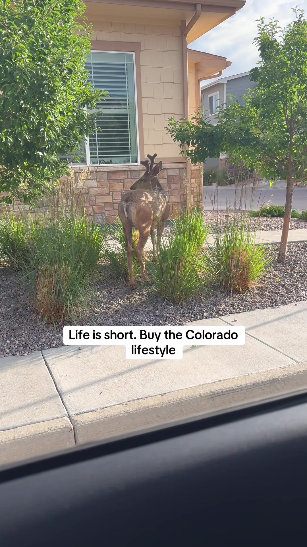 @LaRyan King|Denver|Real Estate