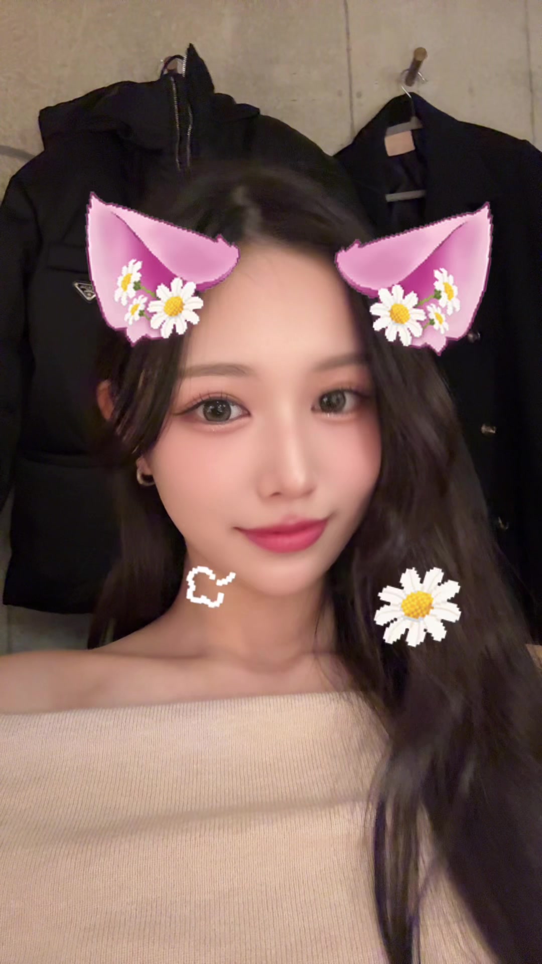@🐰