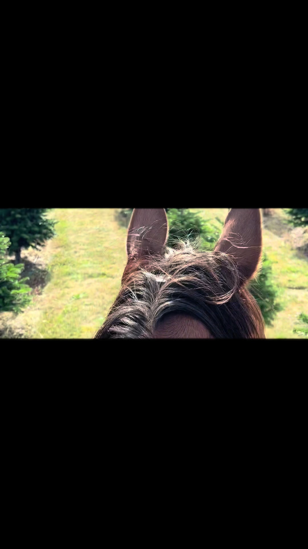 @LLindsey