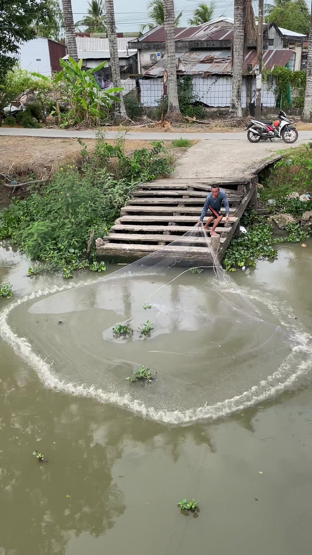 @L&ecirc; Thanh Nh&agrave;n